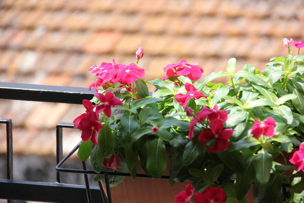 B&B Casa Venezia Бернальда Номер фото